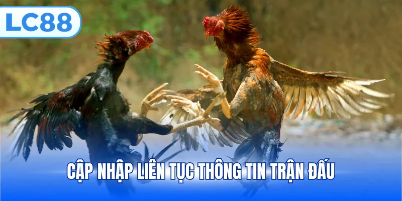 Cập nhập liên tục thông tin trận đấu