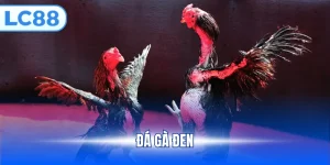 Đá gà Đen