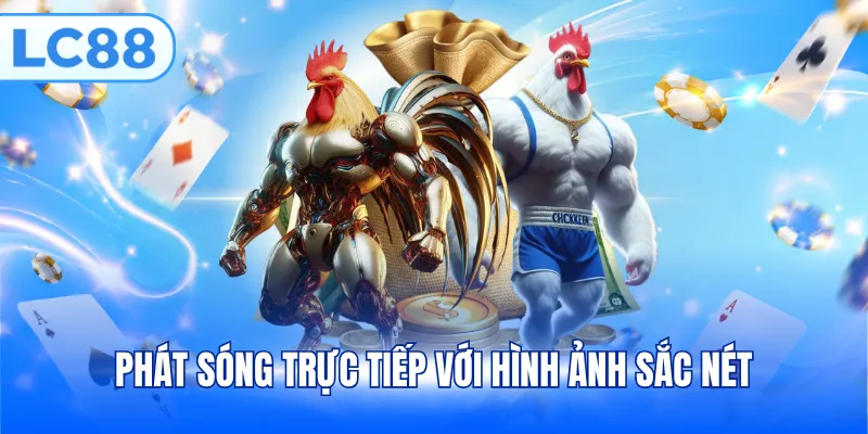Phát sóng trực tiếp với hình ảnh sắc nét