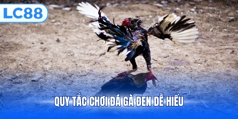 Quy tắc chơi đá gà đen dễ hiểu