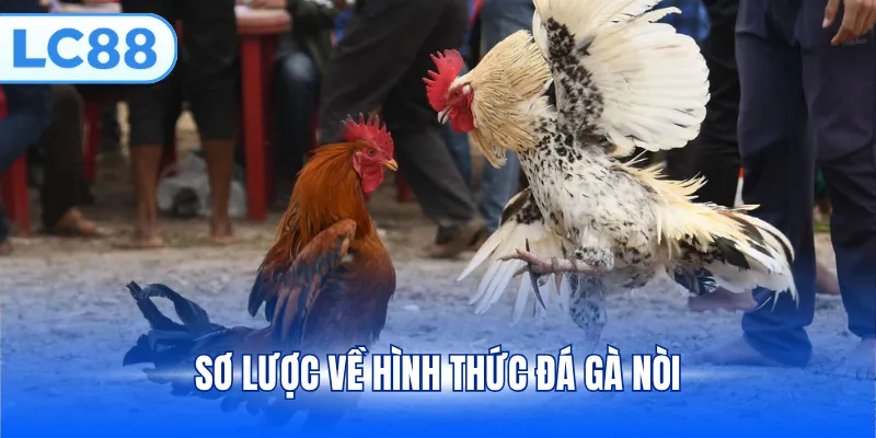 Sơ lược về hình thức đá gà nòi
